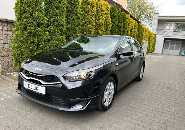 Kia Ceed cena 111900 przebieg: 6, rok produkcji 2023 z Urzędów małe 379